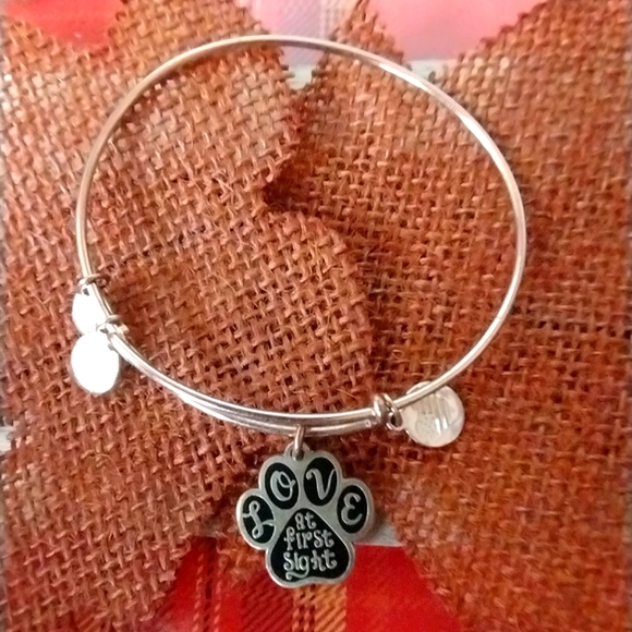 Alex and Ani Love at First Sight Pet Lover Bangle Charm Bracelet - Picture 5 of 8